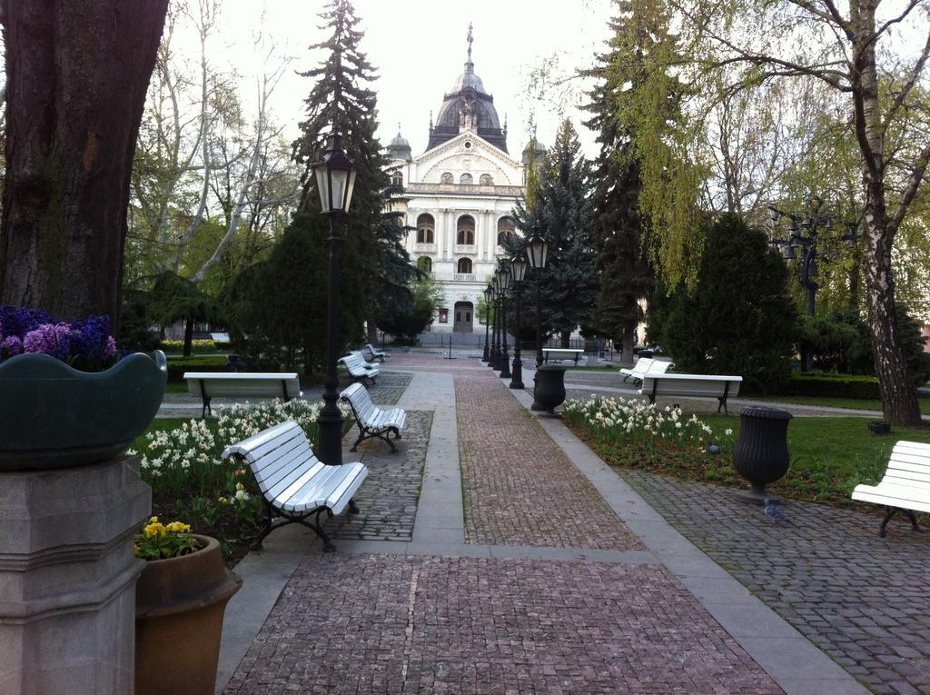 The Heart Of Kosice Daire Dış mekan fotoğraf